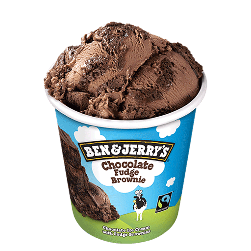 B & J Chocolate Fudge Brownie