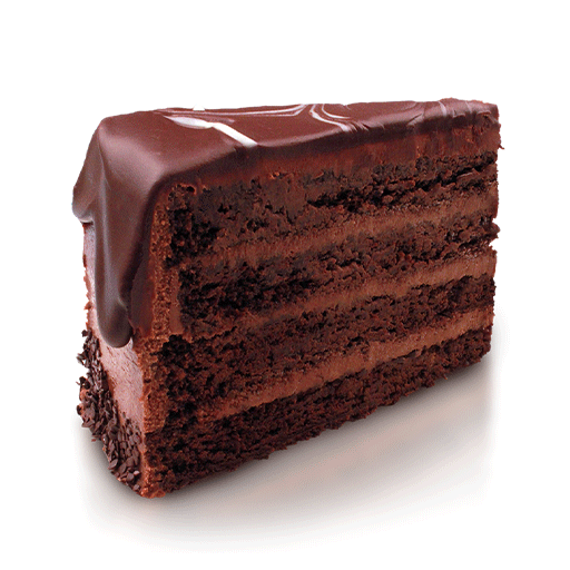 Chocolate Fudge Cake