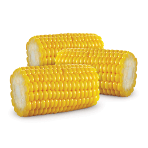 Corn On The Cob